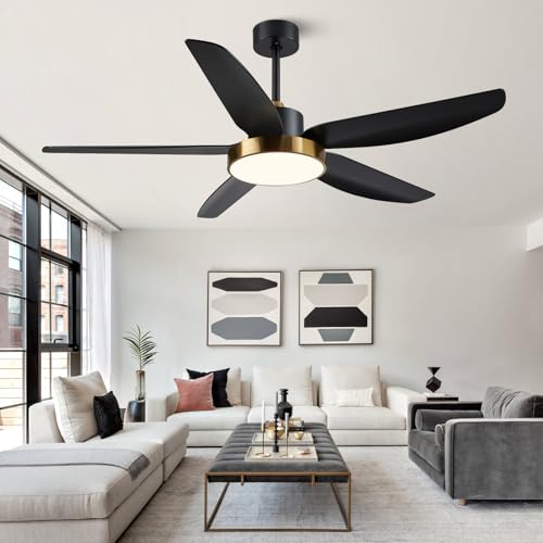 56"Modern Black Gold 6 Speeds ABS Ceiling Fan with Light and Remote Control