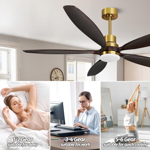 60" Modern Gray Walnut Brass Reversible Ceiling Fan with Light and Remote