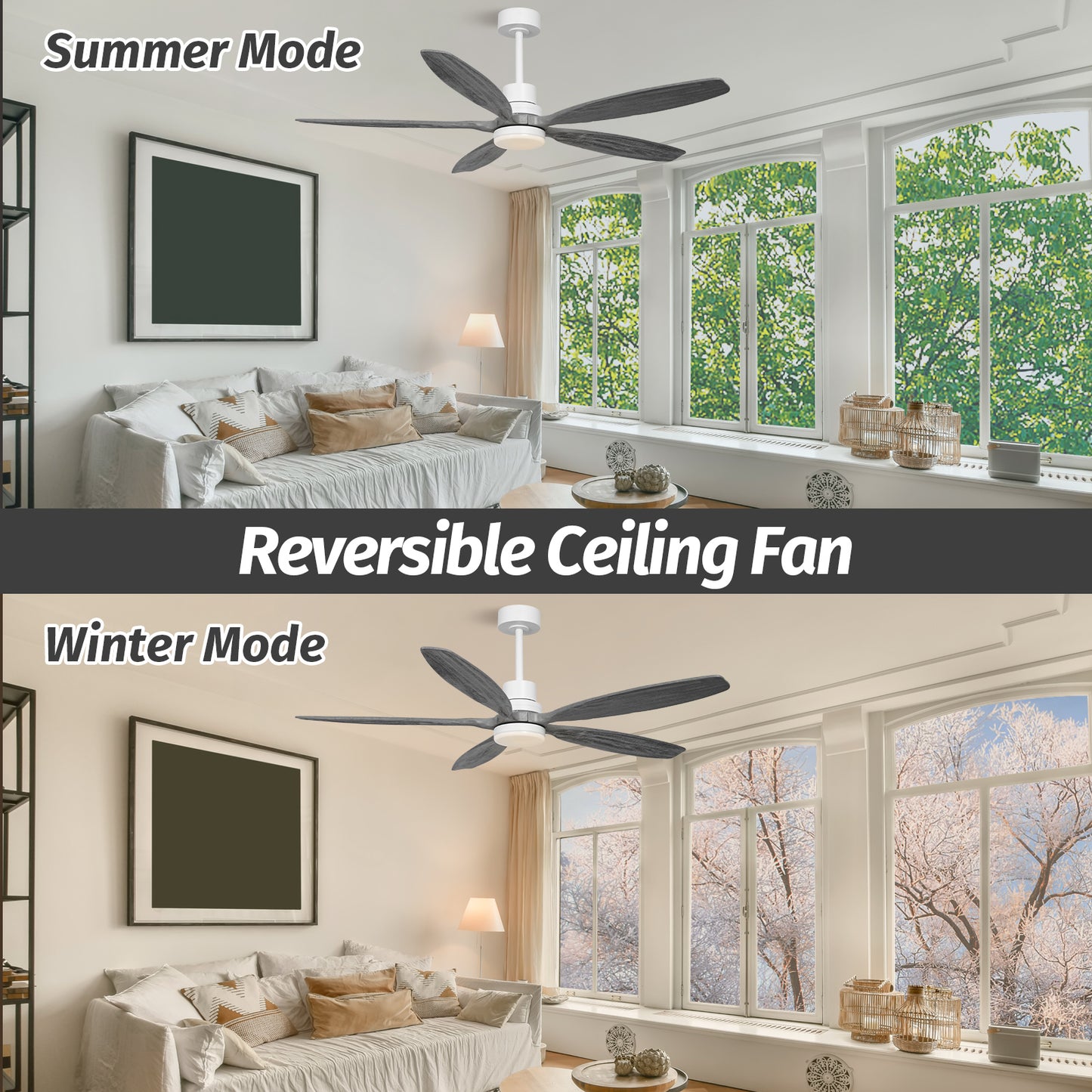 60" Modern Gray Walnut Reversible Ceiling Fan with Light and Remote